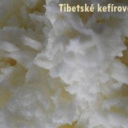 Tibetské kefírové zrná – Mliečny kefír